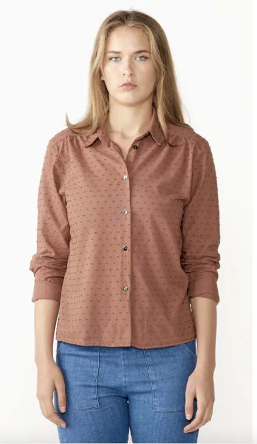 Candy Blouse - Brick Elegant Semi-Sheer Blouse